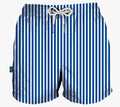 Blue Stripe