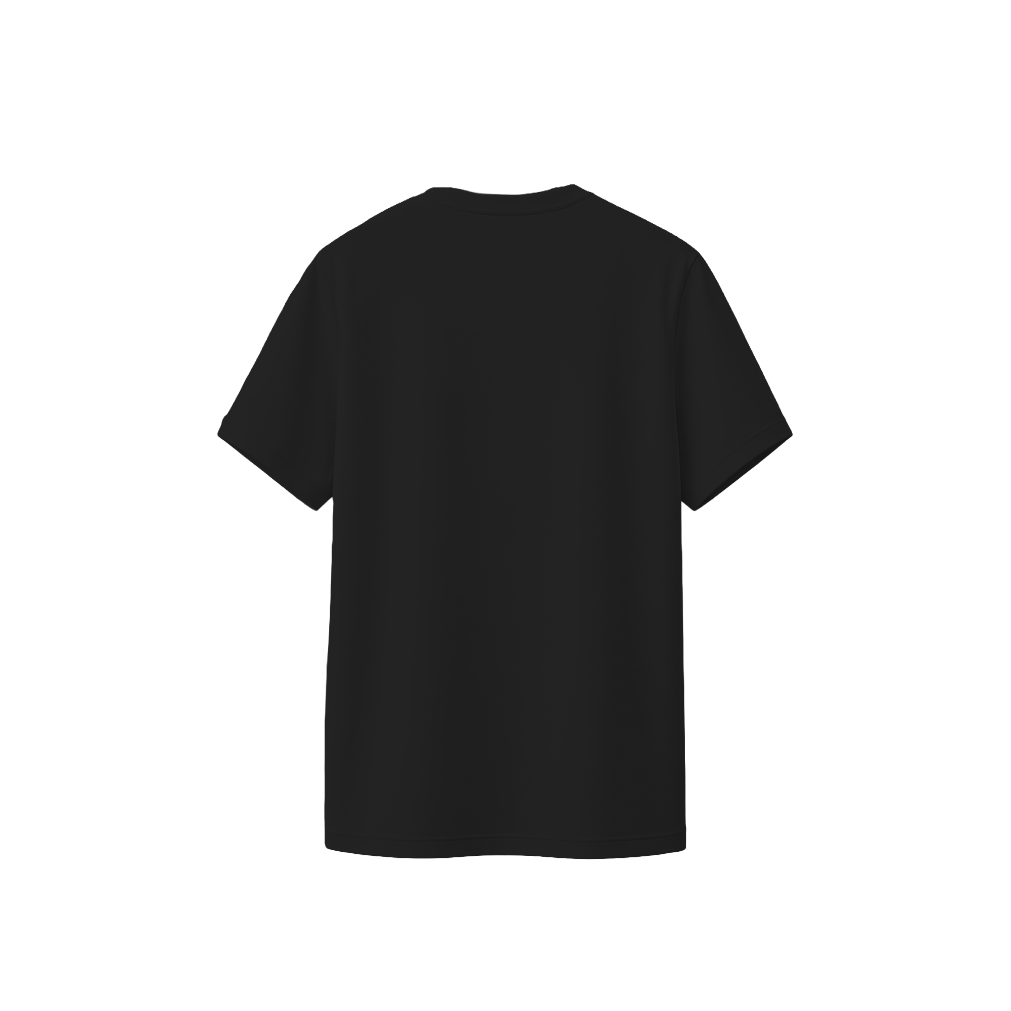 Regular Tshirt / Negra