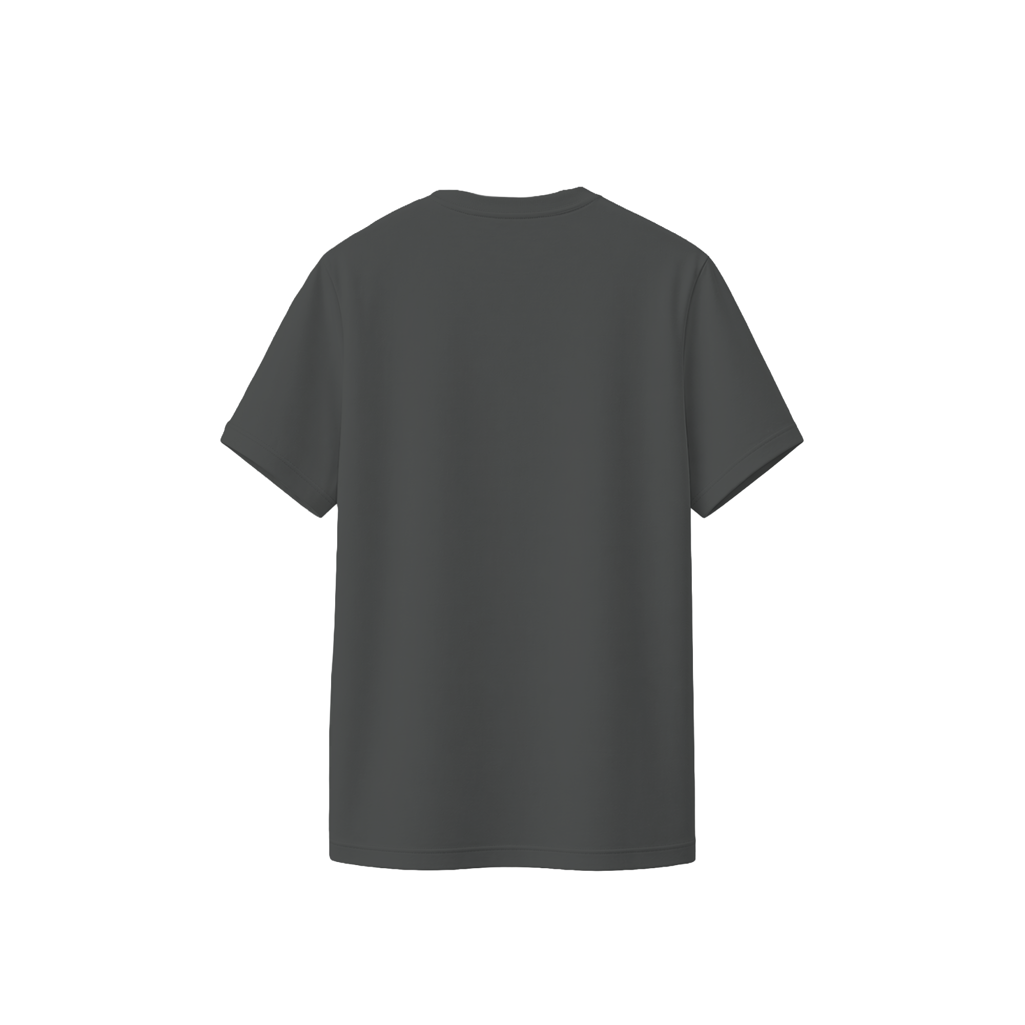 Regular Tshirt / Oxford