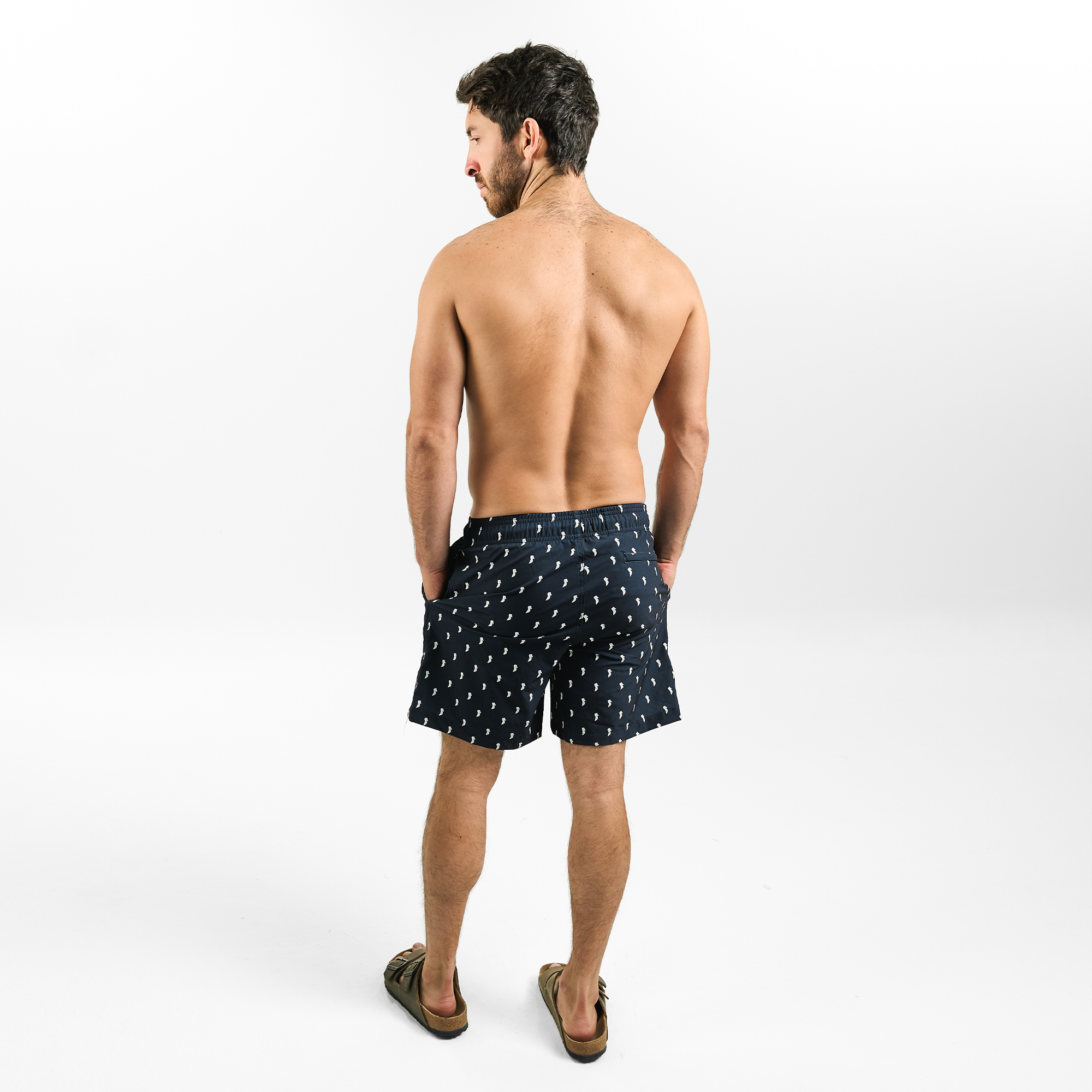 Horse Pattern Trunk / Blue