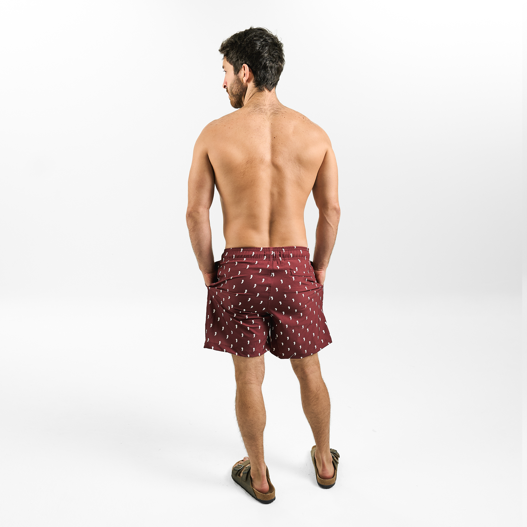 Horse Pattern Trunk / Wine