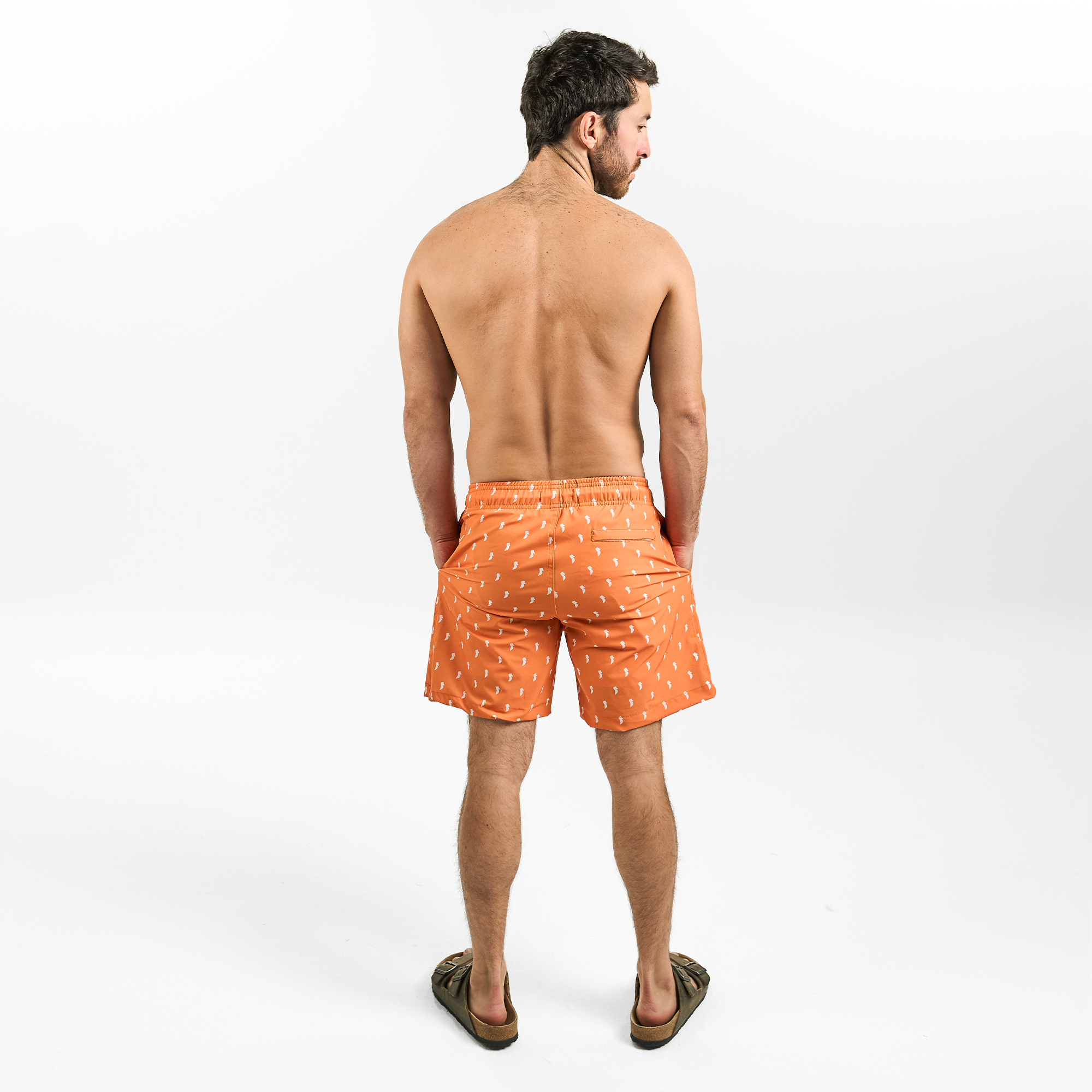 Horse Pattern Trunk / Orange