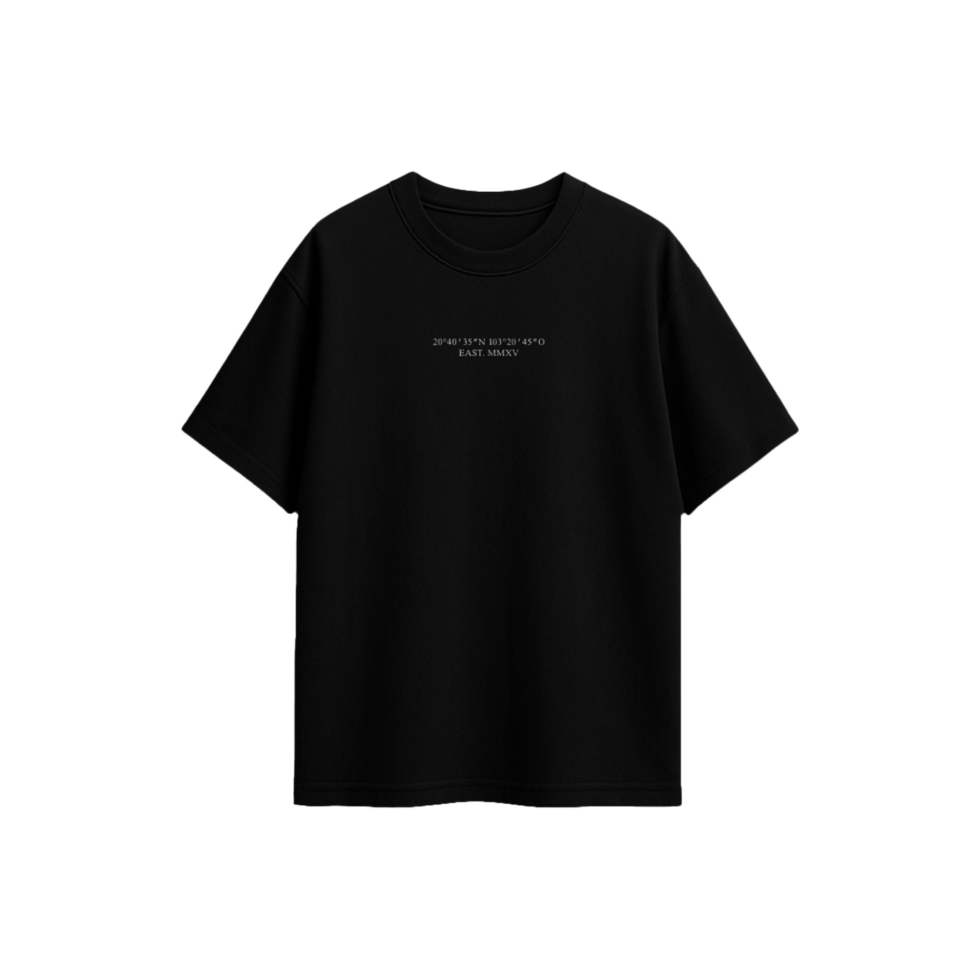 Tshirt Oversize / Seahorse