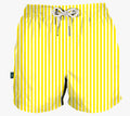 Yellow Stripe